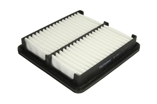 Filtre de aer FILTRON AP 115/1 păreri