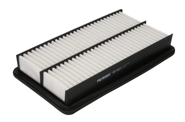 Filtre de aer FILTRON AP 113/1 păreri