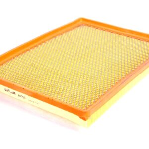 Filtru aer PURFLUX PX A1250