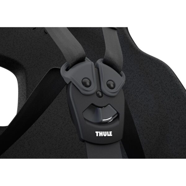 Scaune Bicicletă Thule TA12080255 păreri
