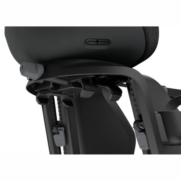 Scaune Bicicletă Thule TA12080231 păreri