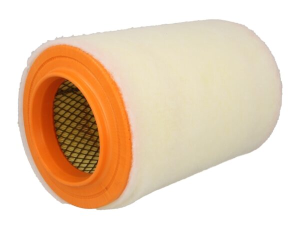 Filtre de aer MANN-FILTER C 15 007 păreri