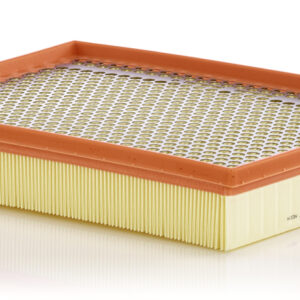Filtru aer MANN-FILTER C 30 039