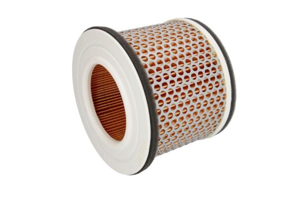 Filtre de aer HIFLO HFA4905 păreri