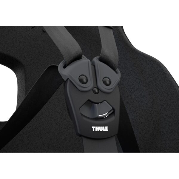 Scaune Bicicletă Thule TA12080253 păreri
