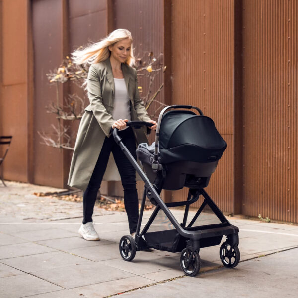 Carucioare Thule TA11400202 păreri