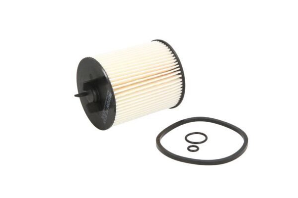 Filtre de combustibil FILTRON PE 973/5 păreri