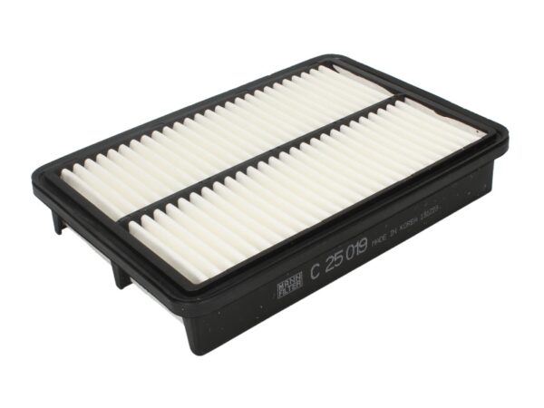 Filtre de aer MANN-FILTER C 25 019 păreri