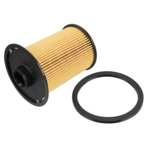Filtru combustibil BLUE PRINT ADN12323
