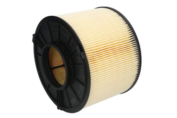 Filtre de aer MANN-FILTER C 17 012/1 păreri