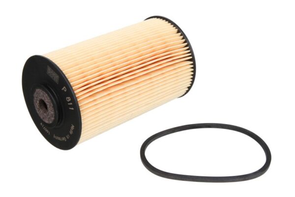Filtre de combustibil MANN-FILTER P 811 X păreri