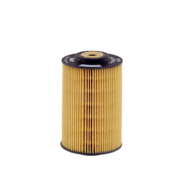 Filtre de combustibil HENGST E5KP D12 păreri