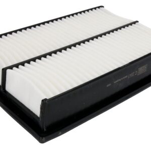 Filtru aer MANN-FILTER C 2841