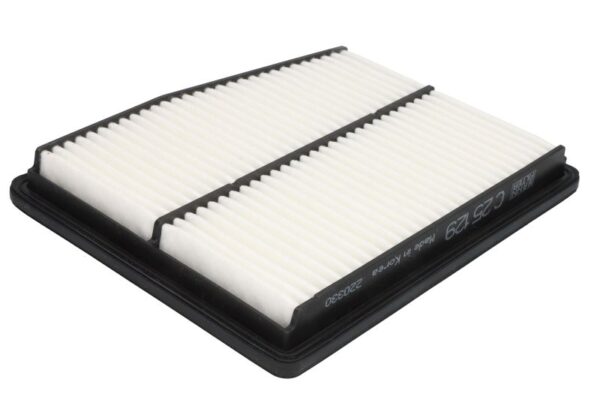 Filtre de aer MANN-FILTER C 25 129 păreri