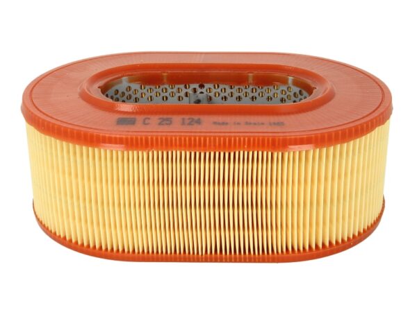 Filtre de aer MANN-FILTER C 25 124 păreri