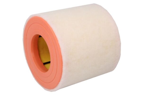 Filtre de aer PURRO PUR-PA0077 păreri