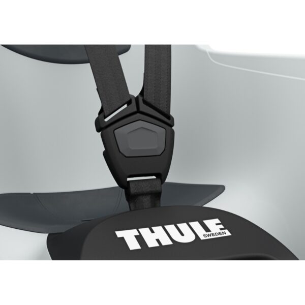 Scaune Bicicletă Thule TA100210 păreri