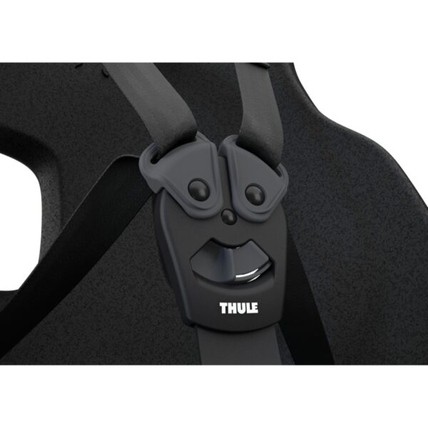 Scaune Bicicletă Thule TA12021156 păreri