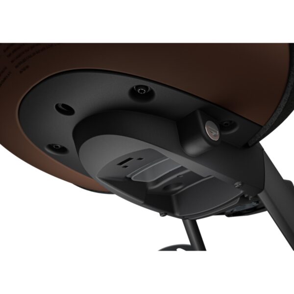 Scaune Bicicletă Thule TA12021161 păreri