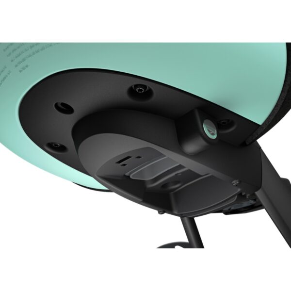 Scaune Bicicletă Thule TA12021160 păreri