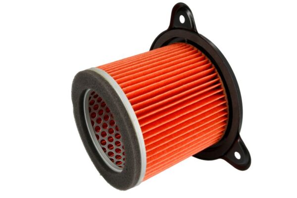 Filtre de aer HIFLO HFA1705 păreri