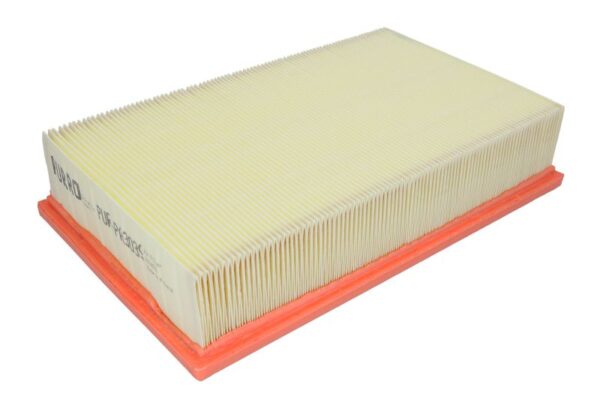 Filtre de aer PURRO PUR-PA3039 păreri