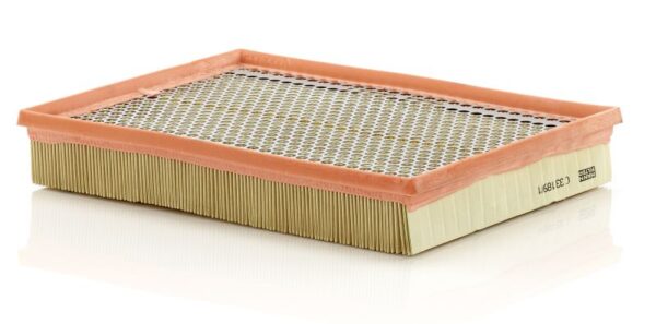 Filtre de aer MANN-FILTER C 33 189/1 păreri