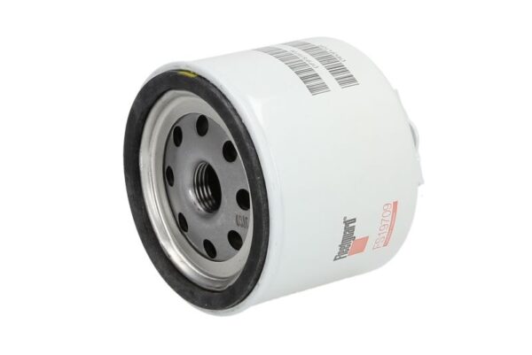 Filtre de combustibil FLEETGUARD FS19709 păreri