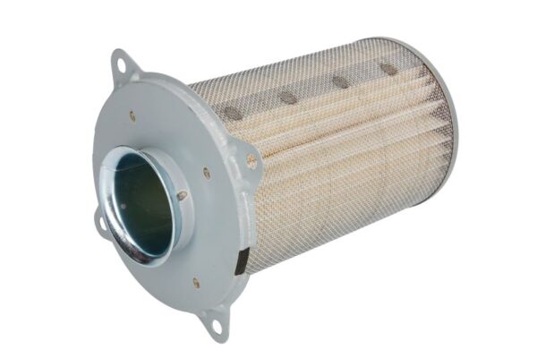 Filtre de aer HIFLO HFA3909 păreri