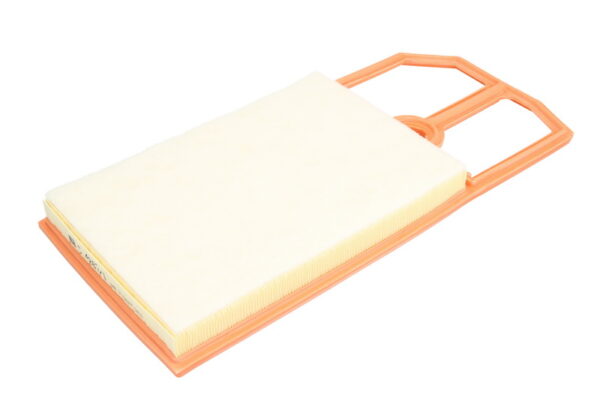 Filtre de aer MANN-FILTER C 4287/1 păreri