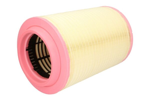 Filtre de aer MANN-FILTER C 27 998/5 păreri