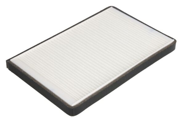 Filtre de habitaclu FLEETGUARD AF55861 păreri