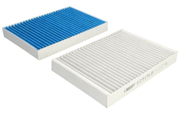 Filtre de habitaclu HENGST E2919LB-2 păreri