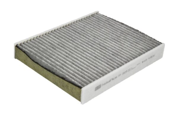Filtre de habitaclu MANN-FILTER FP 2433 păreri