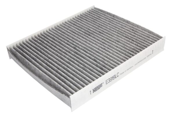 Filtre de habitaclu HENGST E3919LC păreri