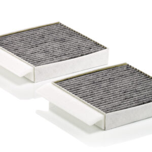 Filtru habitaclu MANN-FILTER CUK 25 034-2