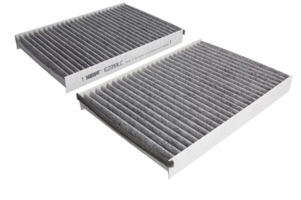 Filtre de habitaclu HENGST E2919LC-2 păreri