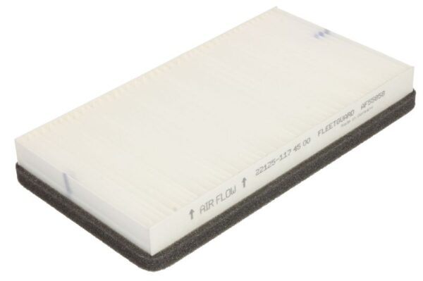 Filtre de habitaclu FLEETGUARD AF55858 păreri