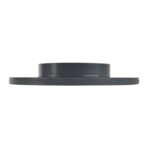 Disc frână FEBI FE06310