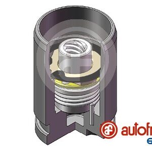 Piston etrier AUTOFREN SEINSA D0-25340K păreri