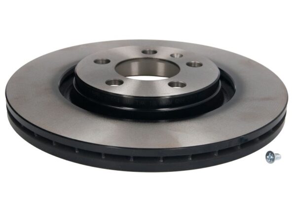 Discuri frana TRW MOTO DF2804 păreri