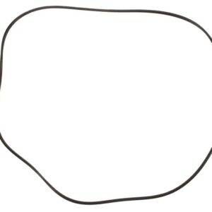 Piston etrier SBP 12-AG031 păreri