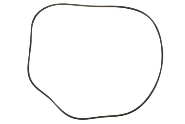 Piston etrier SBP 12-AG031 păreri