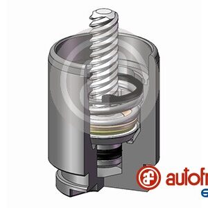 Piston etrier AUTOFREN SEINSA D0-25267K păreri