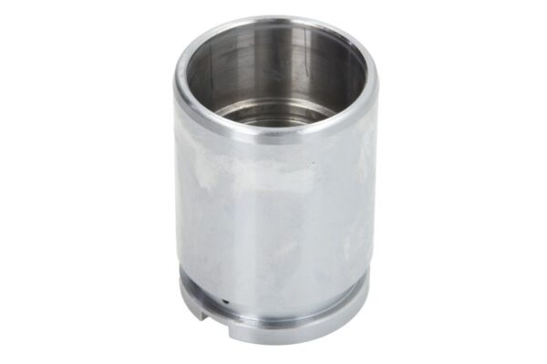 Piston etrier AUTOFREN SEINSA D0-2519 păreri