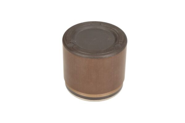Piston etrier AUTOFREN SEINSA D0-25593 păreri