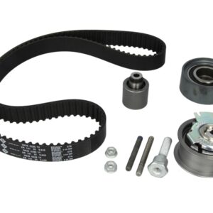 Set curea de distribuție INA 530 0463 10