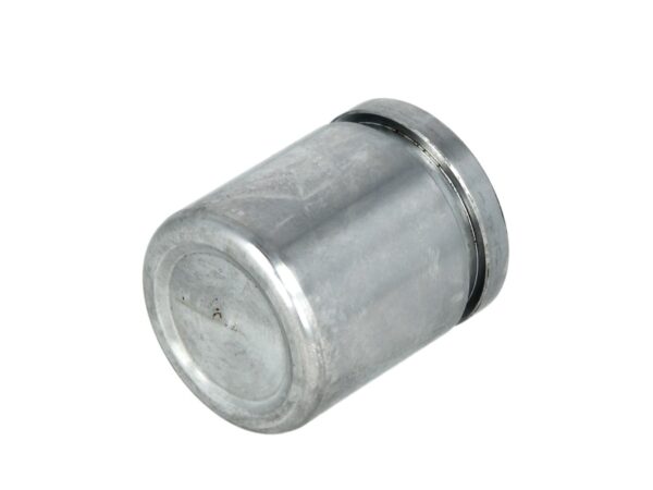 Piston etrier AUTOFREN SEINSA D0-25266 păreri