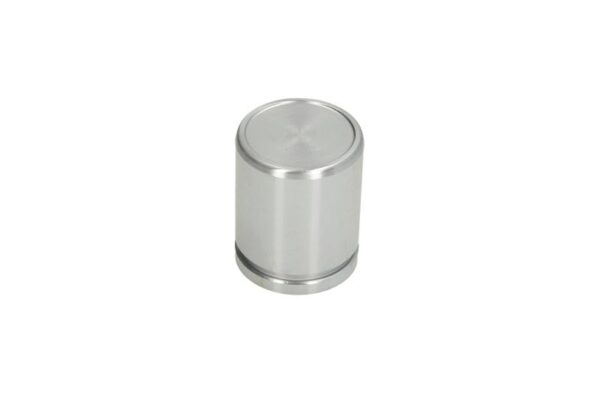Piston etrier AUTOFREN SEINSA D0-25702 păreri