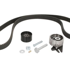 Set curea de distribuție INA 530 0562 10